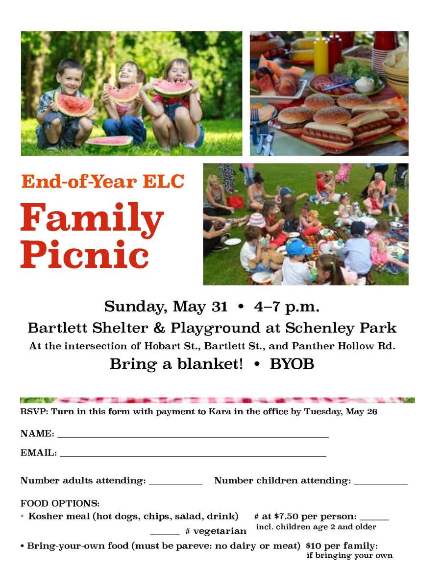 End of Year Picnic Flyer 2015